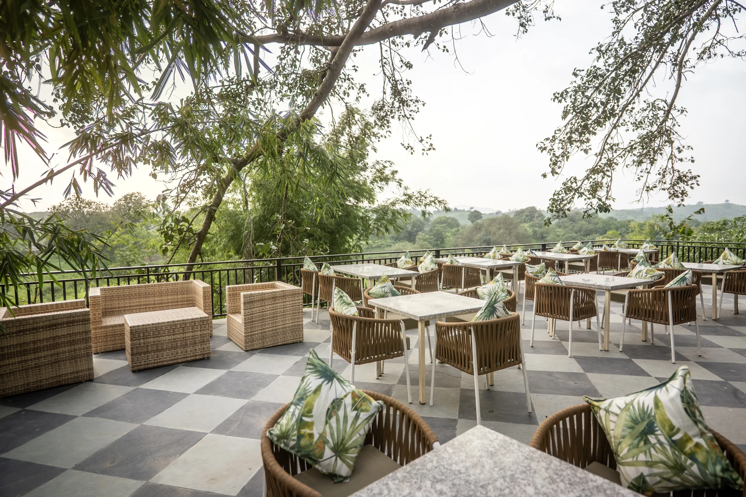 The outer deck under the old banyan