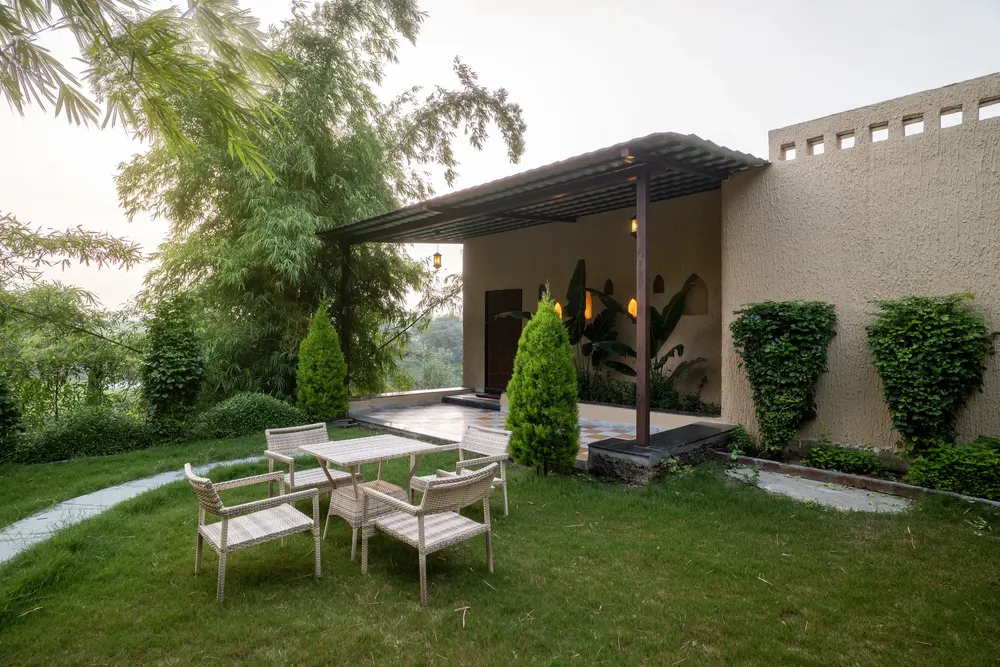 The garden in the evening