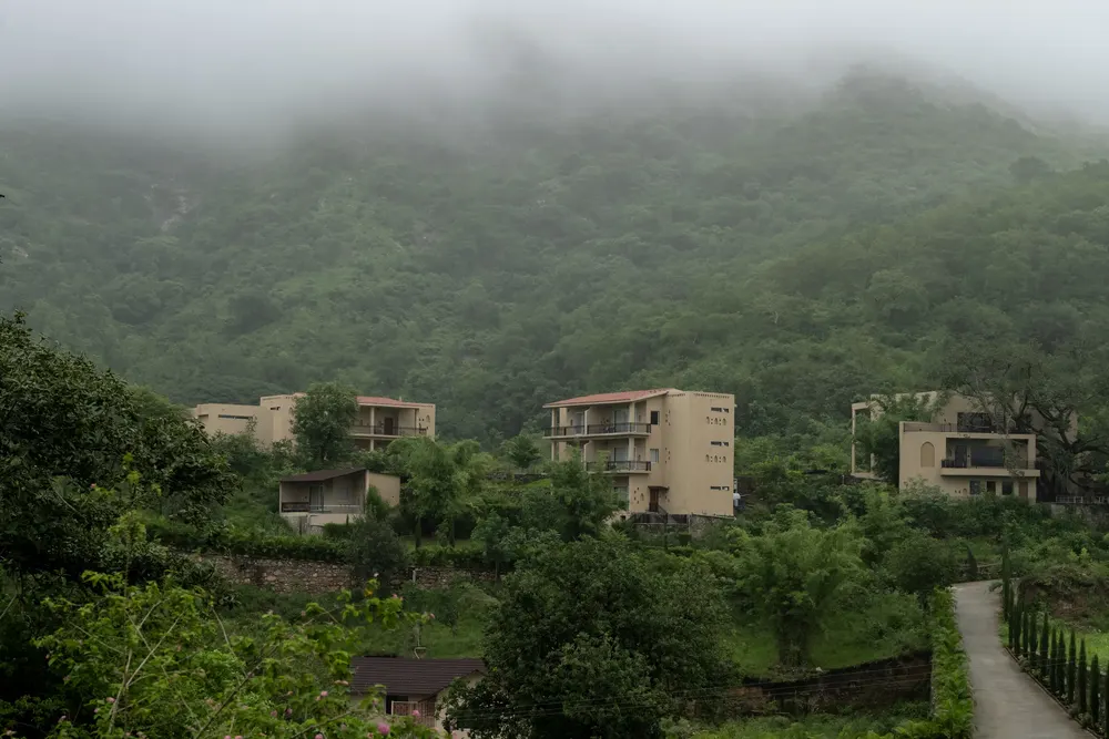 Mist over the hills behind